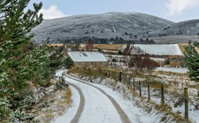 Photo of in Nethy Bridge (83637)