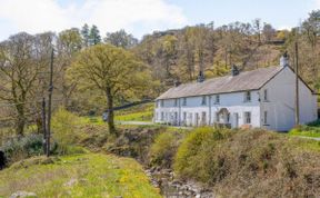 Photo of in Borrowdale (SZ234)