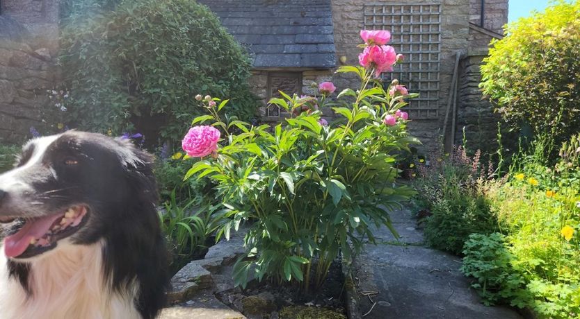 Photo of 2 Bed in Kirkby Stephen