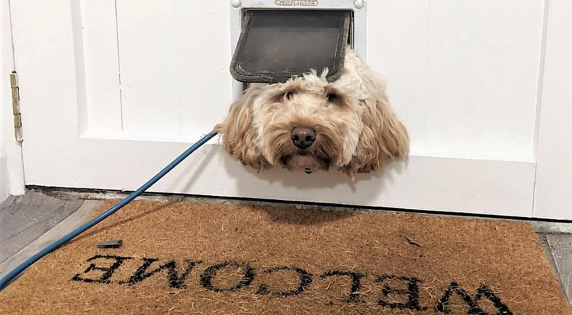 Photo of 2 Bed in Redmain