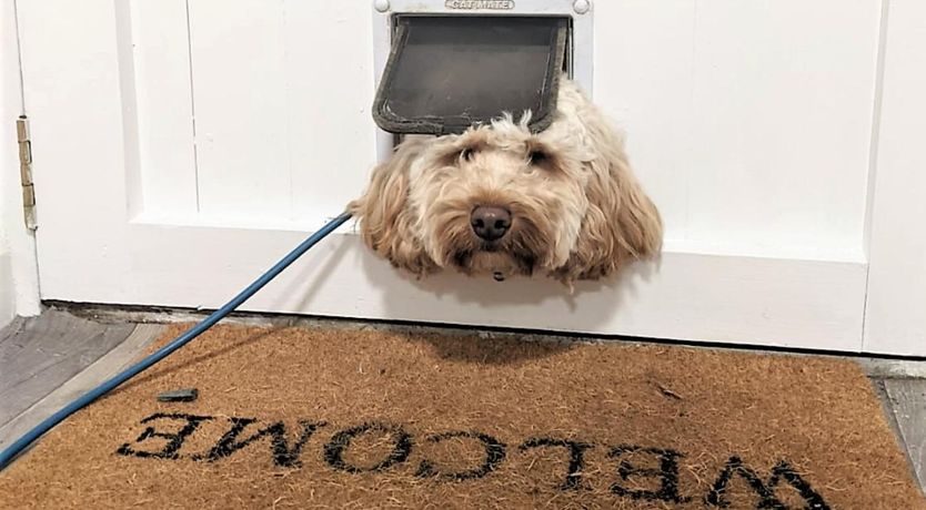 Photo of 2 Bed in Cockermouth