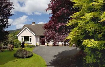 Bungalow in Mid Wales Holiday Cottage