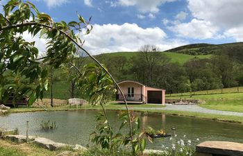 1 Bed in Llangammarch Wells Holiday Cottage