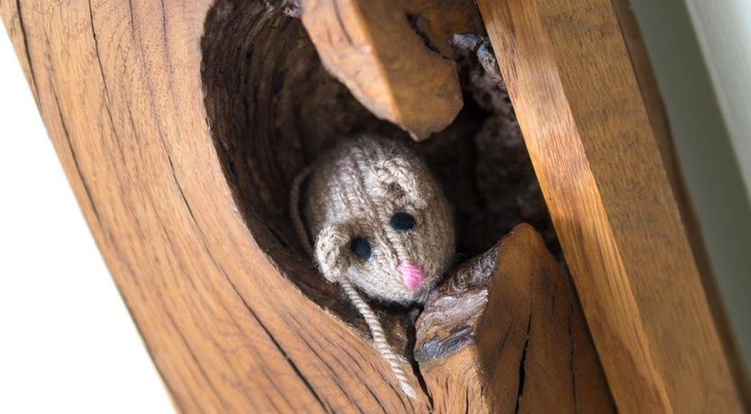 Photo of 2 Bed in Yanwath