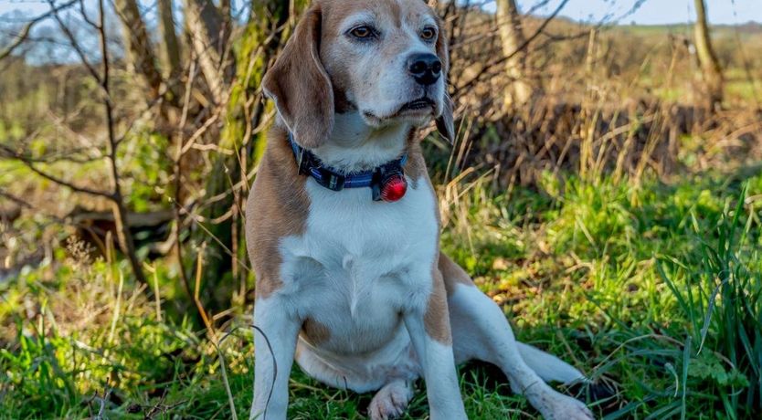 Photo of 2 Bed in Newcastle