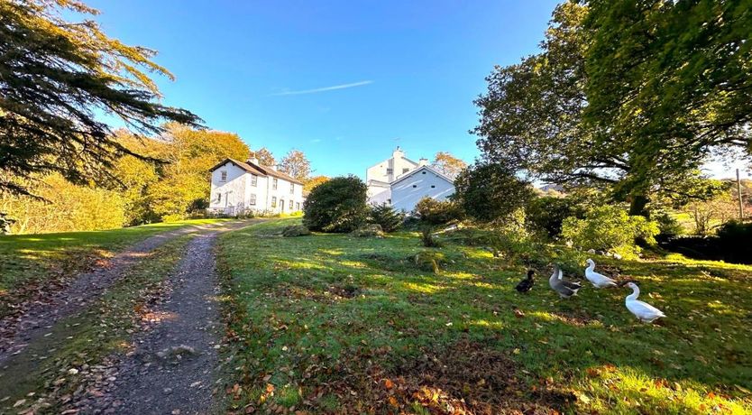 Photo of in Eskdale (SZ346)