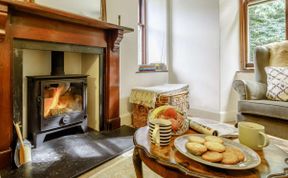 Photo of in St Andrews (78228)
