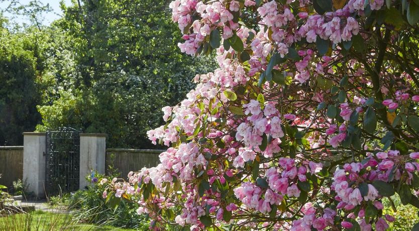 Photo of 2 Bed in Bassenthwaite Lake