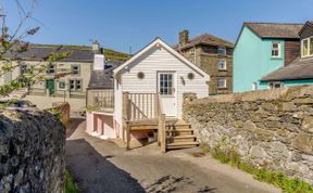 Photo of in New Quay (81502)