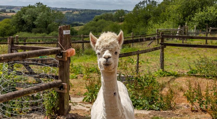 Photo of 2 Bed in Kings Nympton