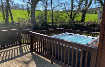 in Dartmoor National Park  (06200) Holiday Cottage