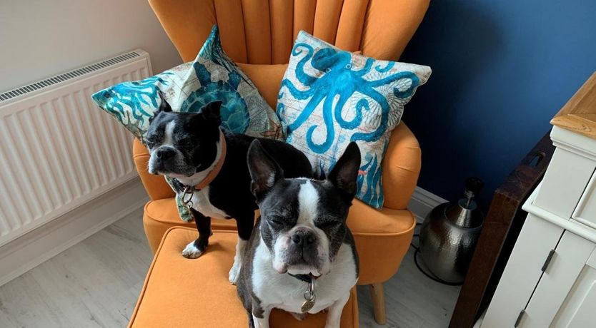 Photo of 4 Bed in Whitby