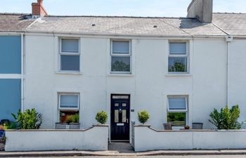 3 Bed in Tenby Holiday Cottage