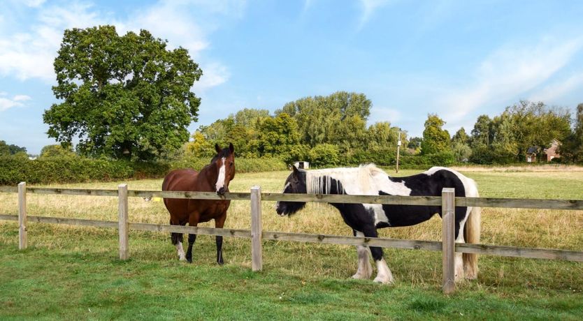 Photo of 2 Bed in Dereham