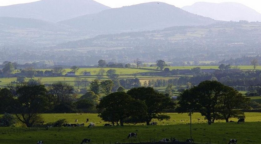 Photo of 1 Bed in Kirkland