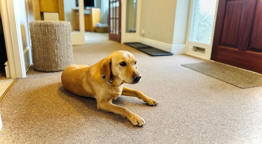 Photo of 2 Bed in Windermere