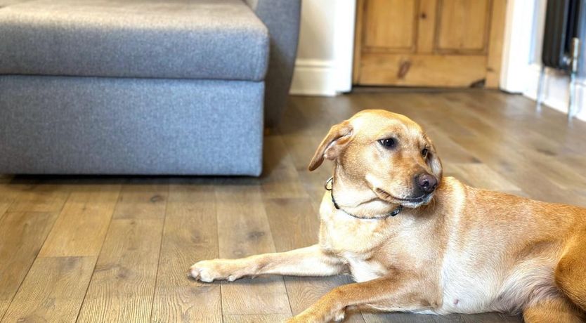 Photo of 1 Bed in Water Yeat