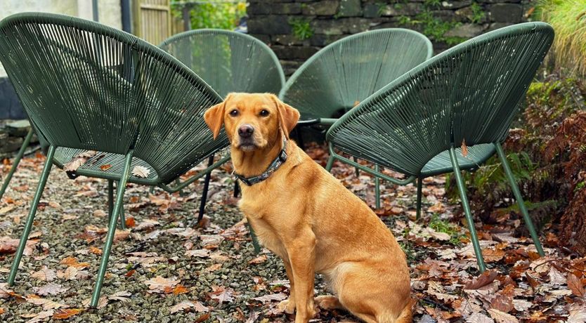 Photo of 1 Bed in Water Yeat