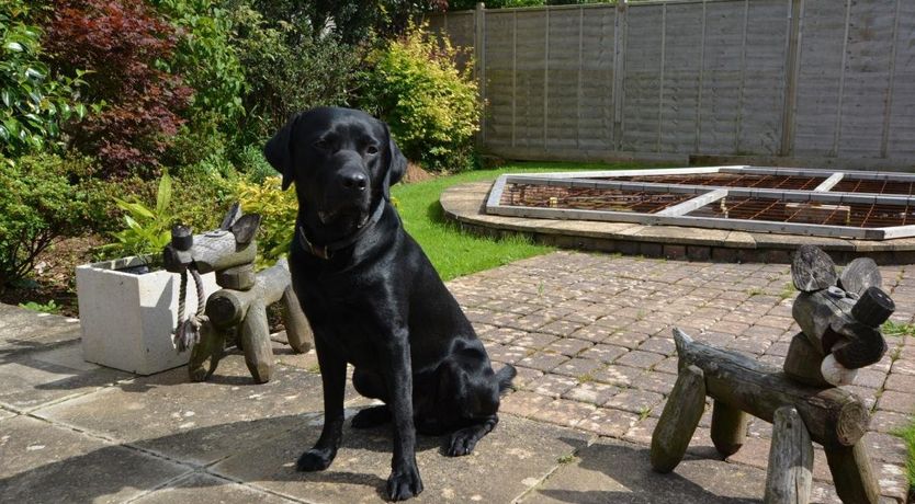 Photo of 3 Bed in Illogan