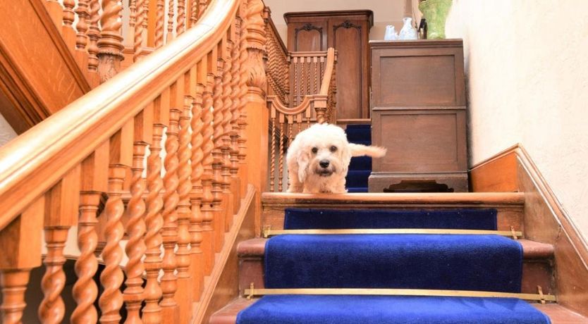 Photo of 7 Bed in Beattock