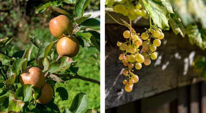 Photo of 1 Bed in Llangynidr