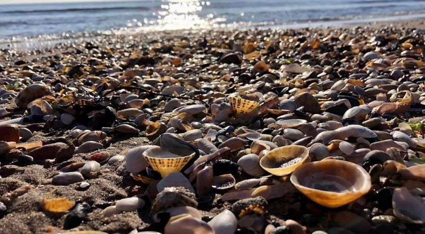 Photo of 1 Bed in Girvan