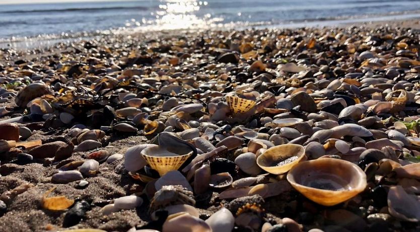 Photo of 1 Bed in Turnberry