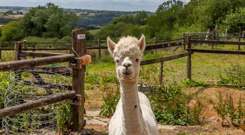 Photo of 3 Bed in Kings Nympton