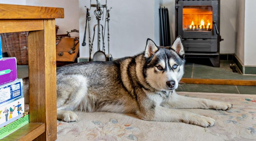 Photo of 3 Bed in Portinscale