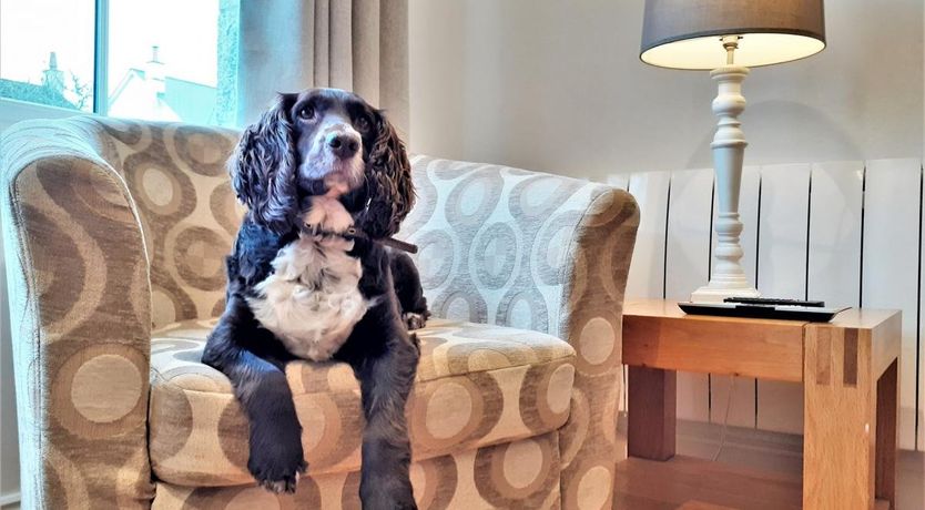 Photo of 1 Bed in St Hilary