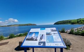 Photo of in Cromarty (85908)