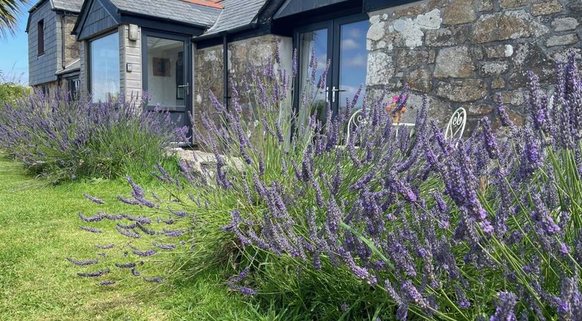 Photo of 1 Bed in Newlyn