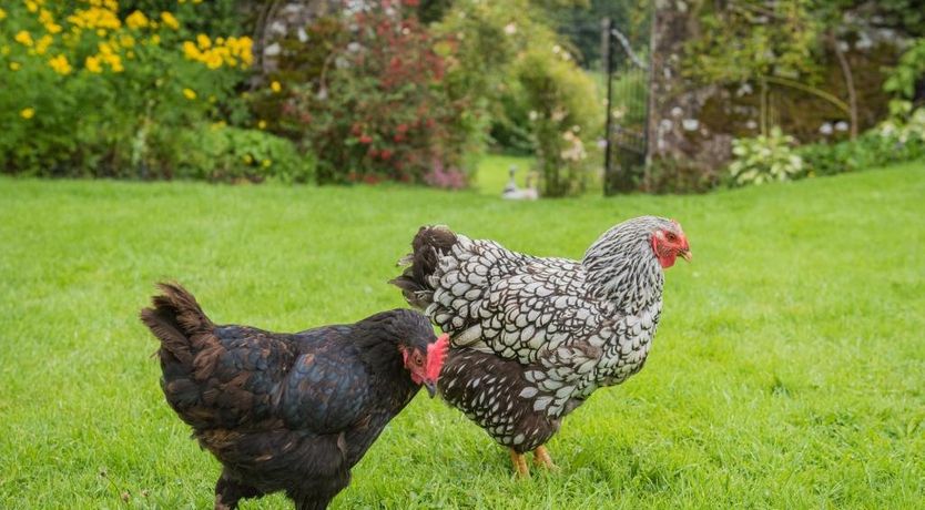 Photo of 1 Bed in Johnby