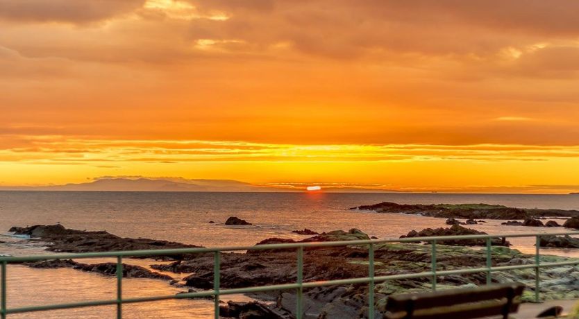 Photo of in Anstruther (80648)