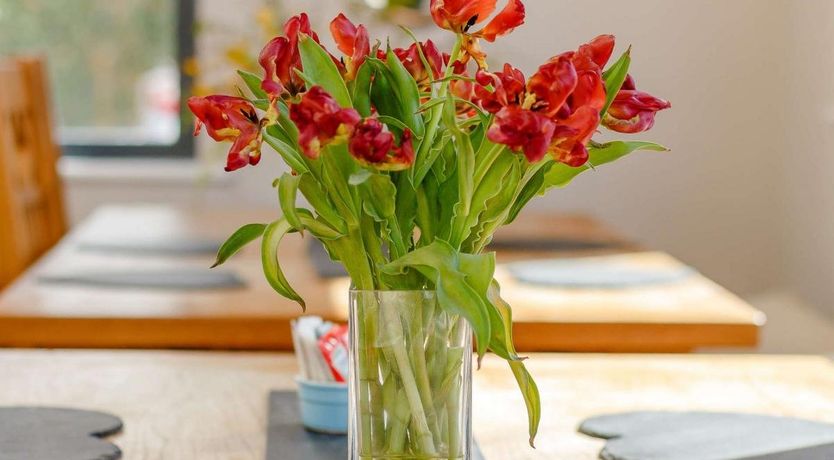 Photo of 8 Bed in Angle