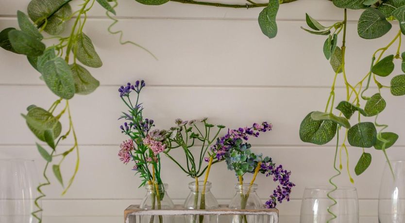 Photo of 1 Bed in South Brent