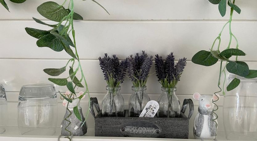 Photo of 1 Bed in South Brent