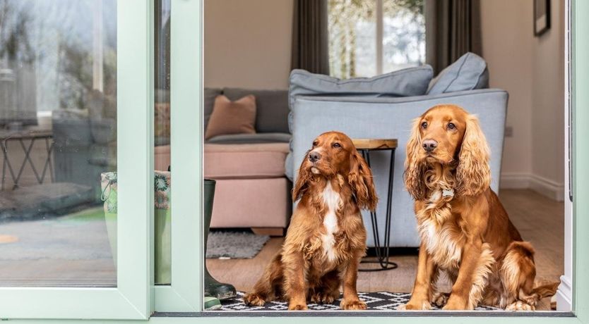 Photo of 4 Bed in Langtree