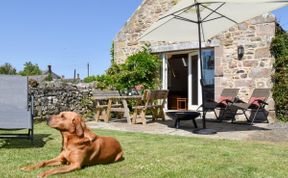 Photo of Cottage in Northumberland