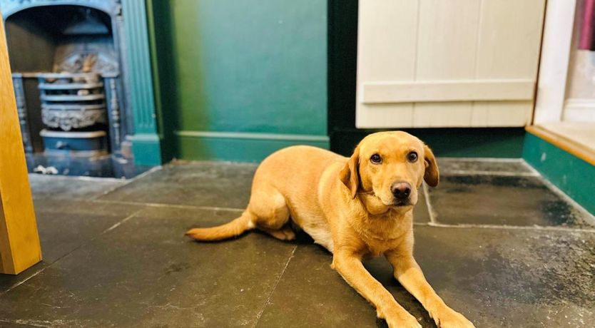 Photo of 3 Bed in Gosforth