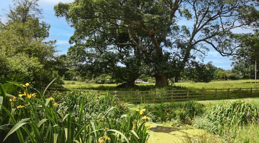 Photo of 2 Bed in South Petherwin