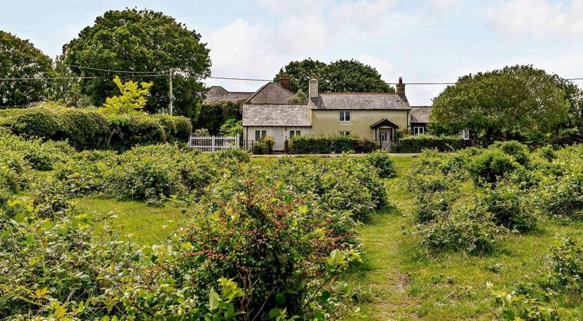 Photo of Cottage in Hampshire