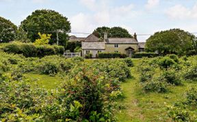 Photo of Cottage in Hampshire