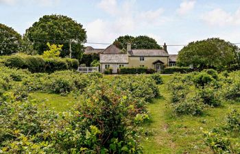 in Sway (83370) Holiday Cottage