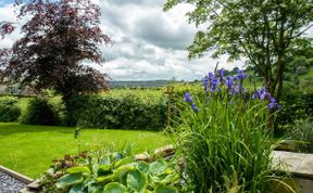 Photo of House in Mid Wales