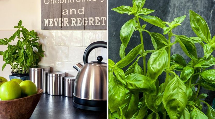 Photo of 1 Bed in Aberedw