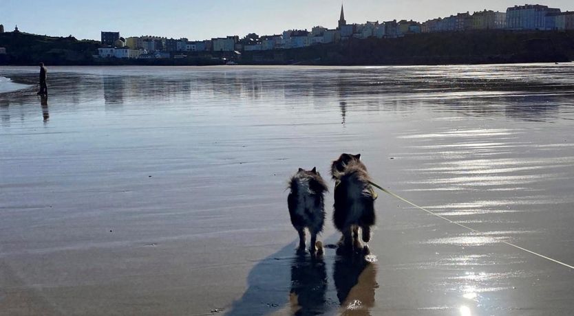 Photo of 2 Bed in Tenby