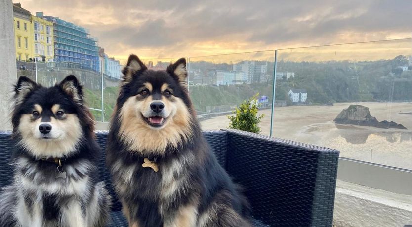 Photo of 2 Bed in Tenby