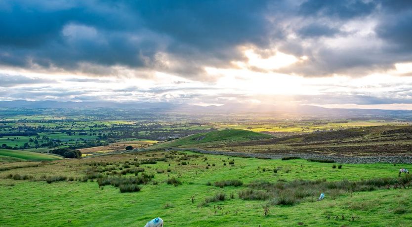 Photo of 1 Bed in Edenhall