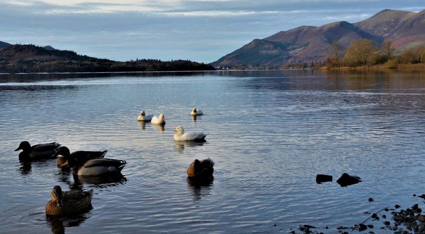 Photo of 1 Bed in Rosthwaite